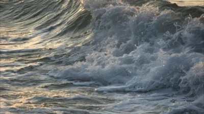 Ocean Rizz Lines