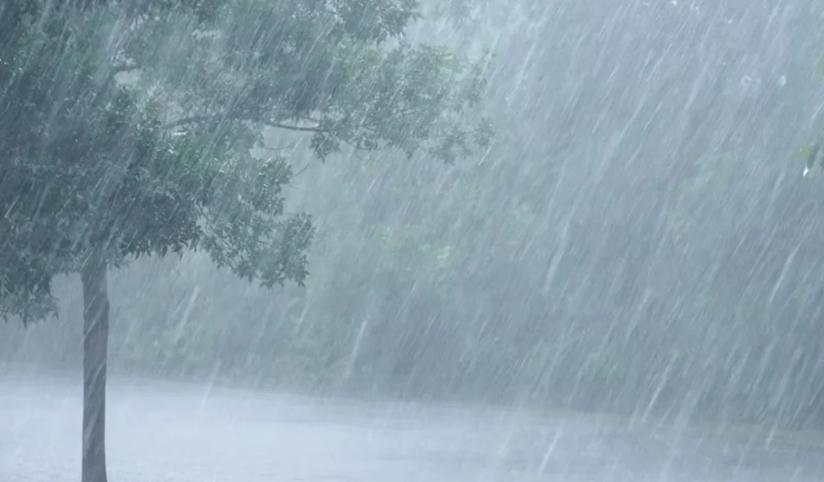 Rain Rizz Lines