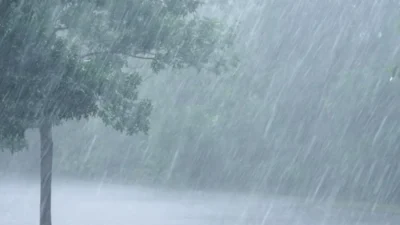 Rain Rizz Lines